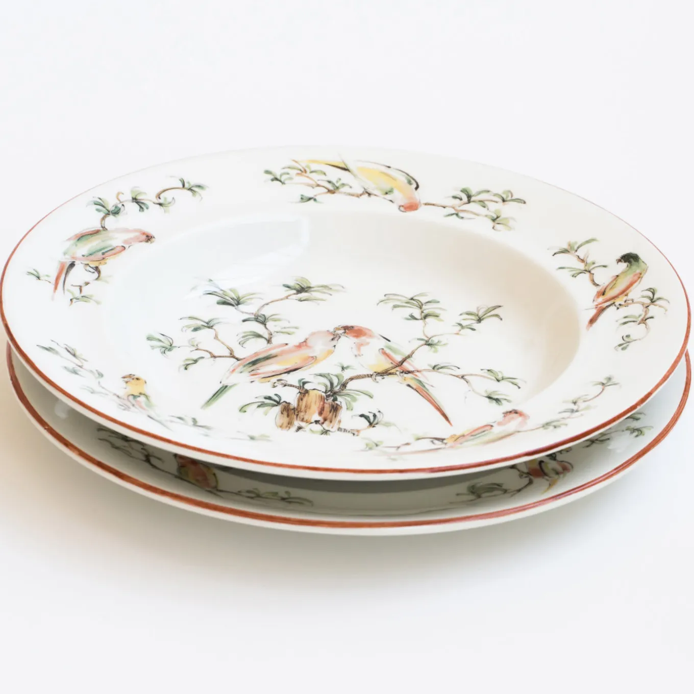 Set of 4 Pappagallini Soup Plates