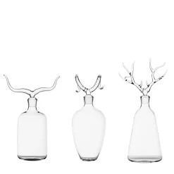 Set of 3 Trophy Bottles