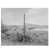 Sicily Cornino Bay 03 Photography