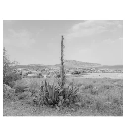 Sicily Cornino Bay 03 Photography