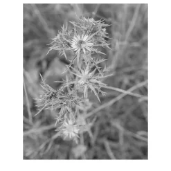 Sicily Cornino Bay 05 Photography