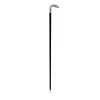Silver Eagle Handle Cane