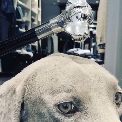 Silver Labrador Shoehorn