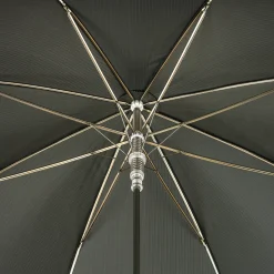 Silver Lion Handle Green Umbrella