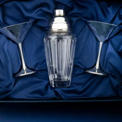 Silver Shaker