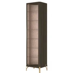 Single Door Glass Cabinet with LED Lighting