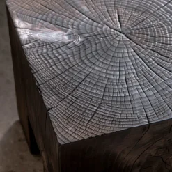Skelly Cube Charred Finish Side Table