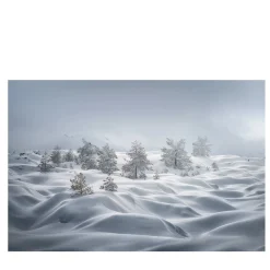 Snow Dunes Photographic Print