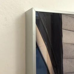 Solution 25 (2016) Photography