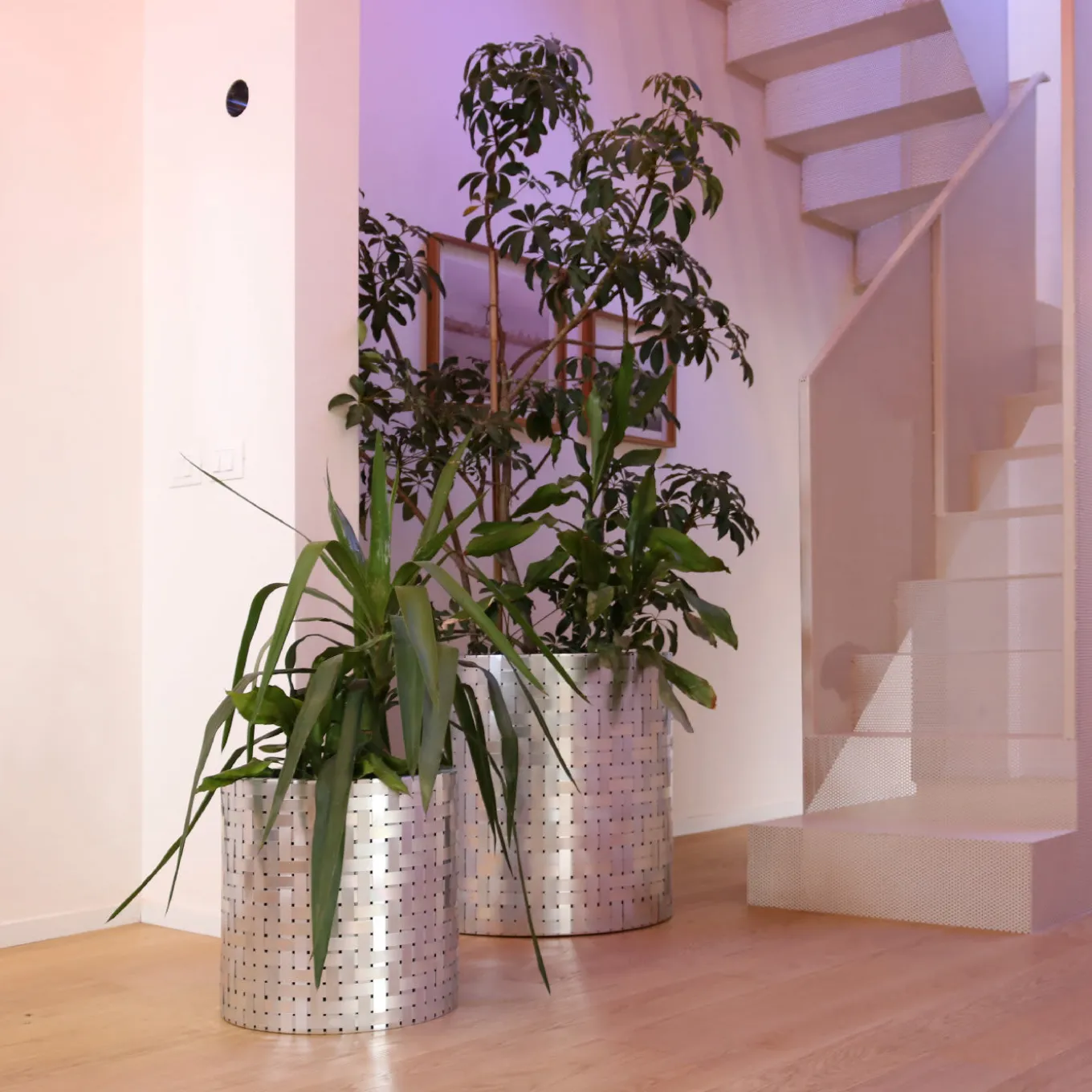 Splot4Flowers Silver Cachepot