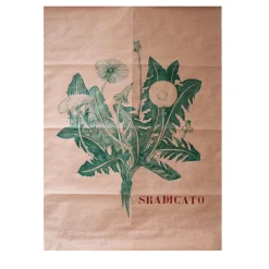 Sradicato Pen Drawing on Paper