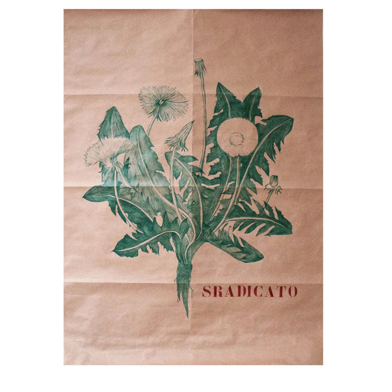 Sradicato Pen Drawing on Paper