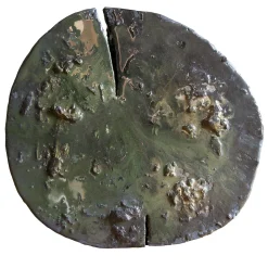 Stella Noctis Oak Sculpture