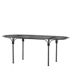 Tavolario Glass & Wrought Iron Oval Table