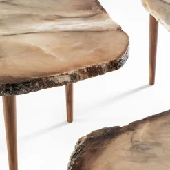 Tellus Set of 3 Coffee Tables