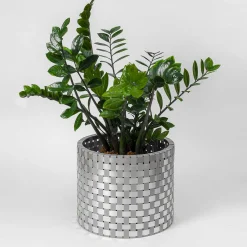 Terra Silver Cachepot