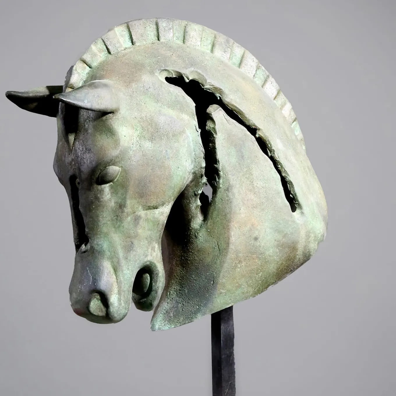 Testa Cavallo Frammento Bronze Sculpture
