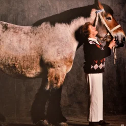 The Golden Horse Jewel Edition Book