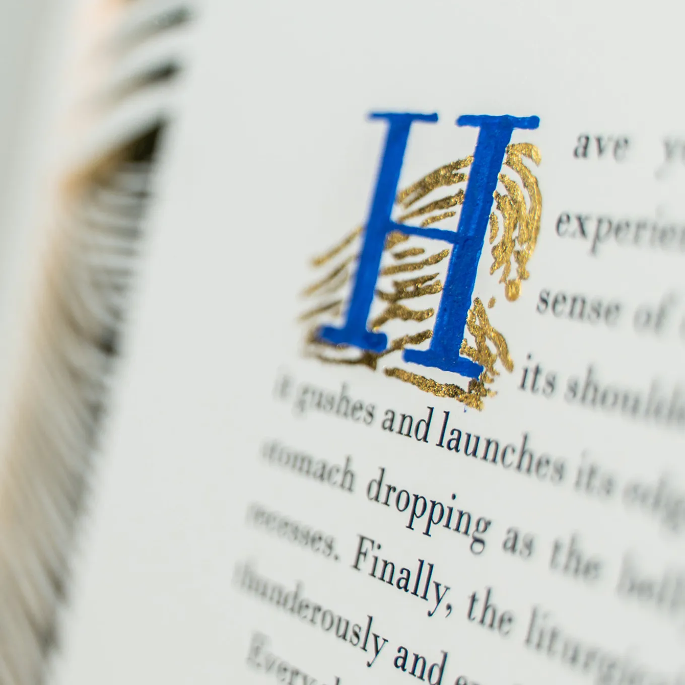 The Golden Waves Limited Edition Decorative Art Book