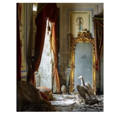 The Great Beauty - L'Ora Che Volge Il Disio - Photographic Print