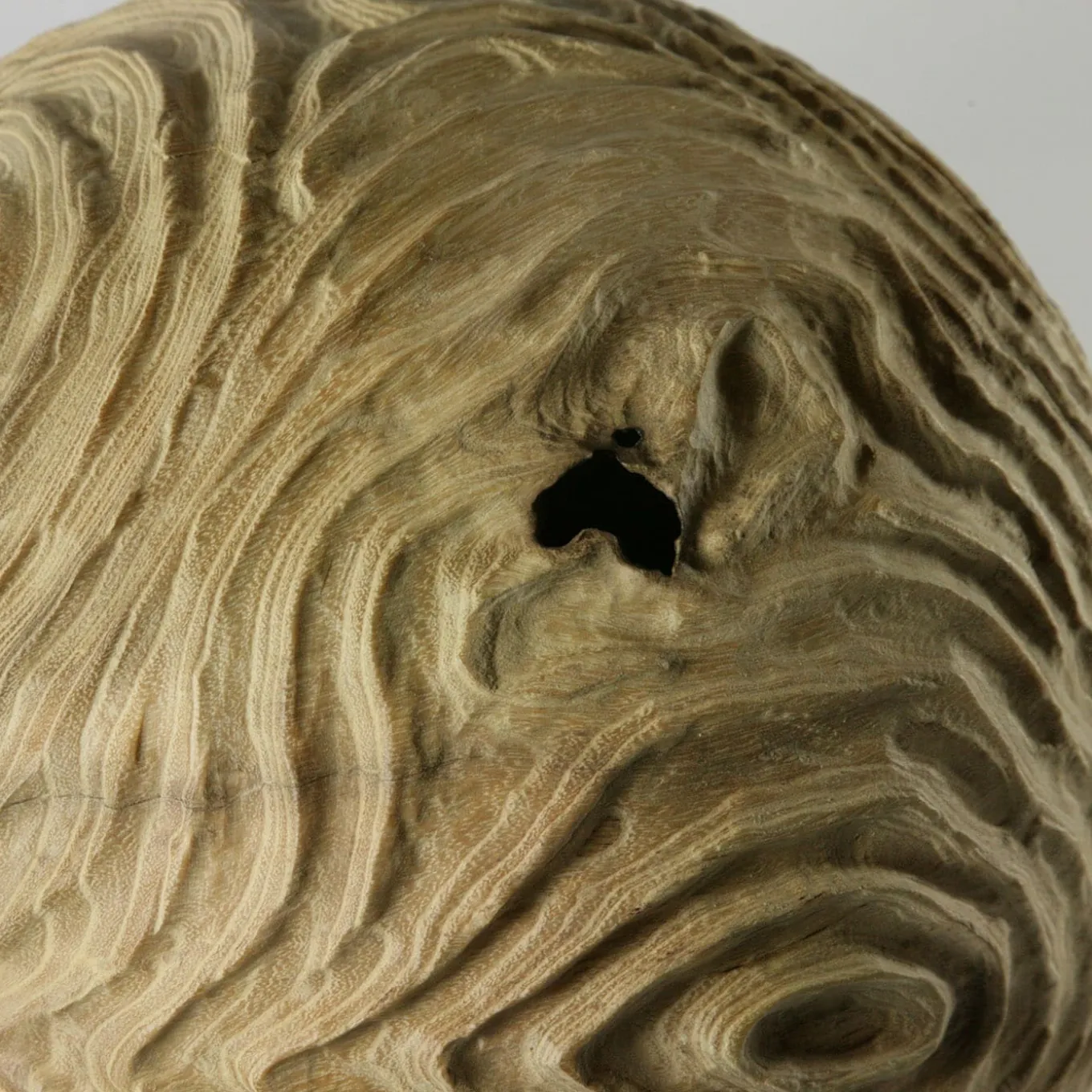 The Impossiballs Hollow Form Spherical Black Locust Sculpture