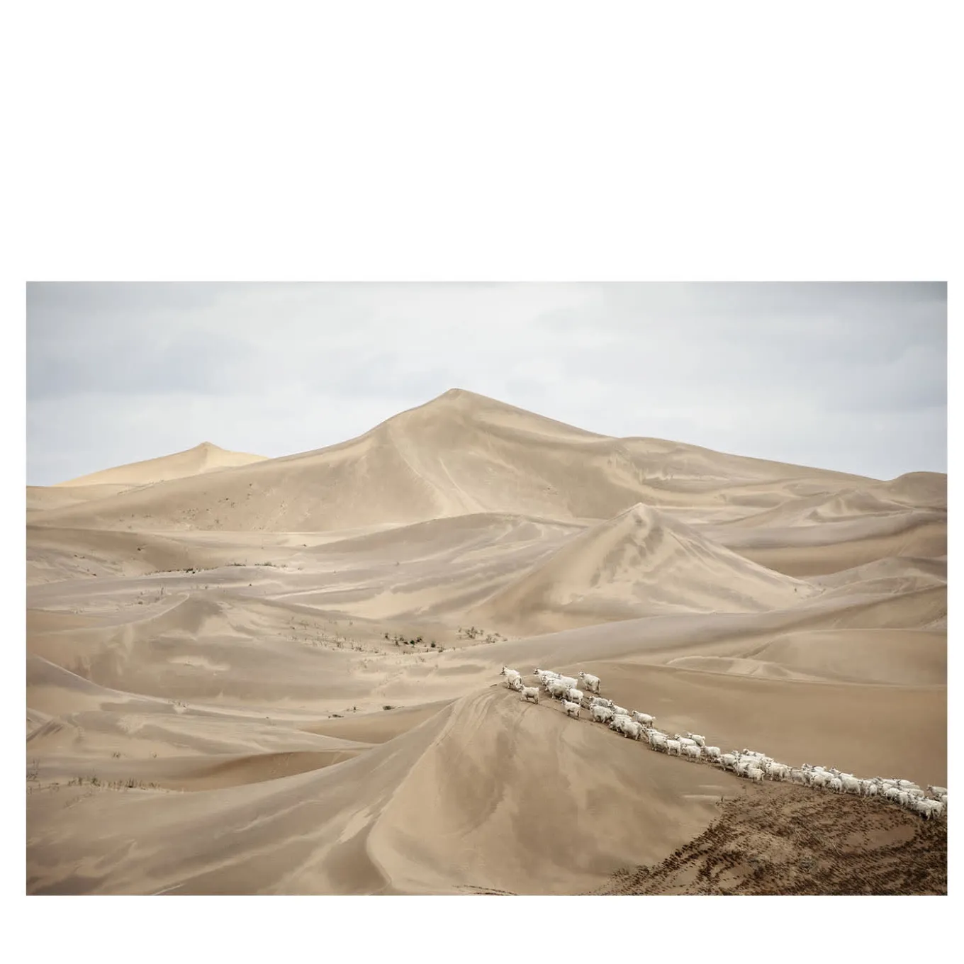 The Origin of a Secret Fine Art Print