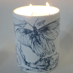 Three-Wick Carezze Candle