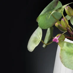 Tokyo Floral Arrangement