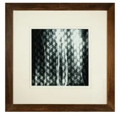 Trame Svelate Print #1