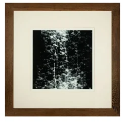 Trame Svelate Print #2