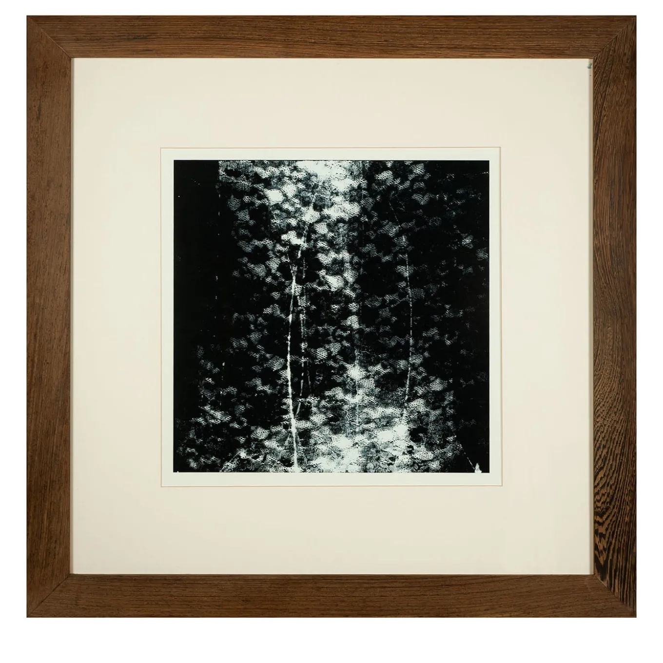 Trame Svelate Print #2