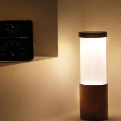 Tubino Noce Table Lamp by Stefano Tabarin