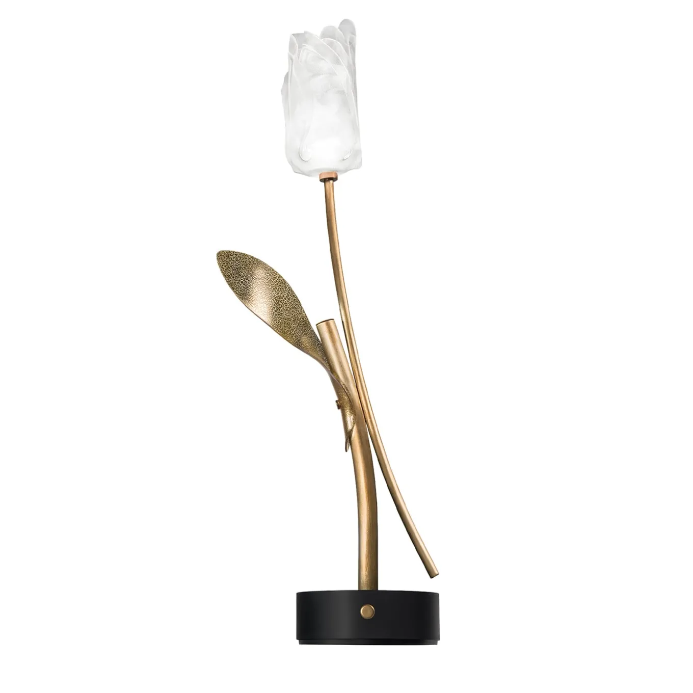 Tulip Black Battery Table Lamp