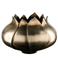 Tulip Low Vase