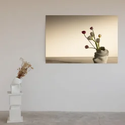 Tulips and Ranunculus in Pove Limited Edition Photograph