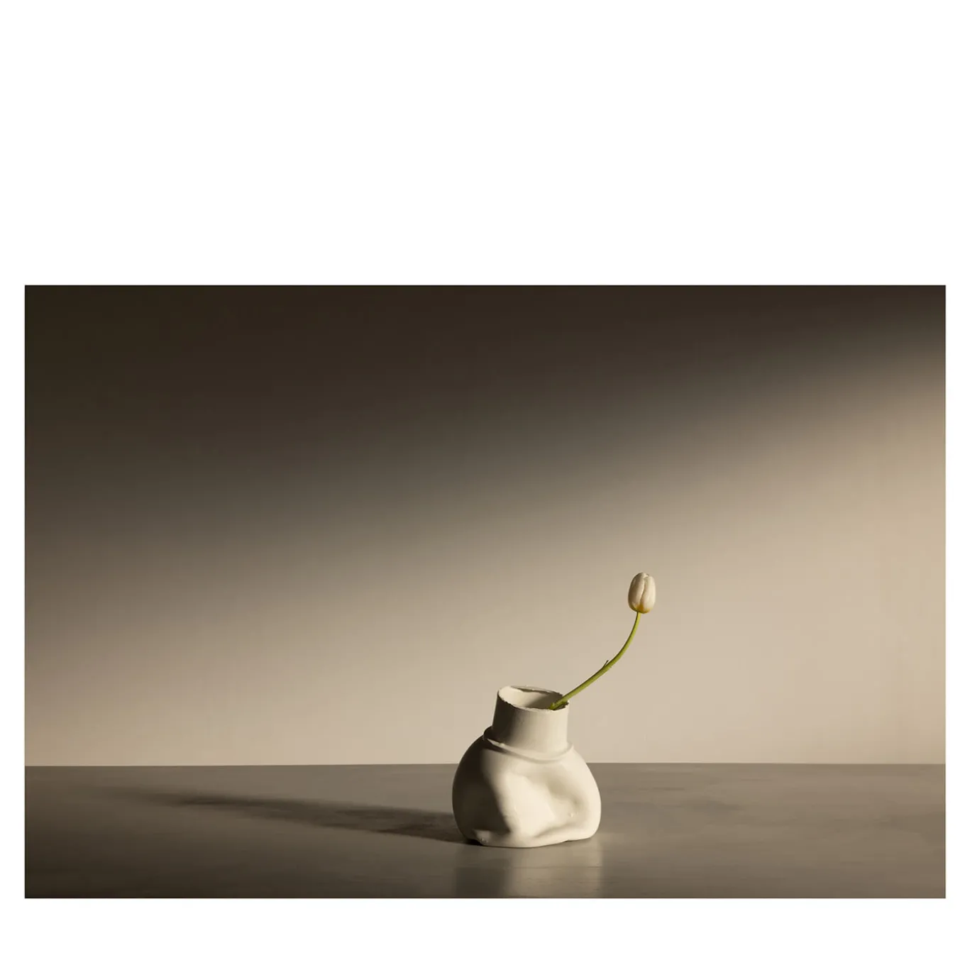 Tulips in Fara Limited Edition Photograph