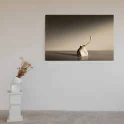 Tulips in Fara Limited Edition Photograph