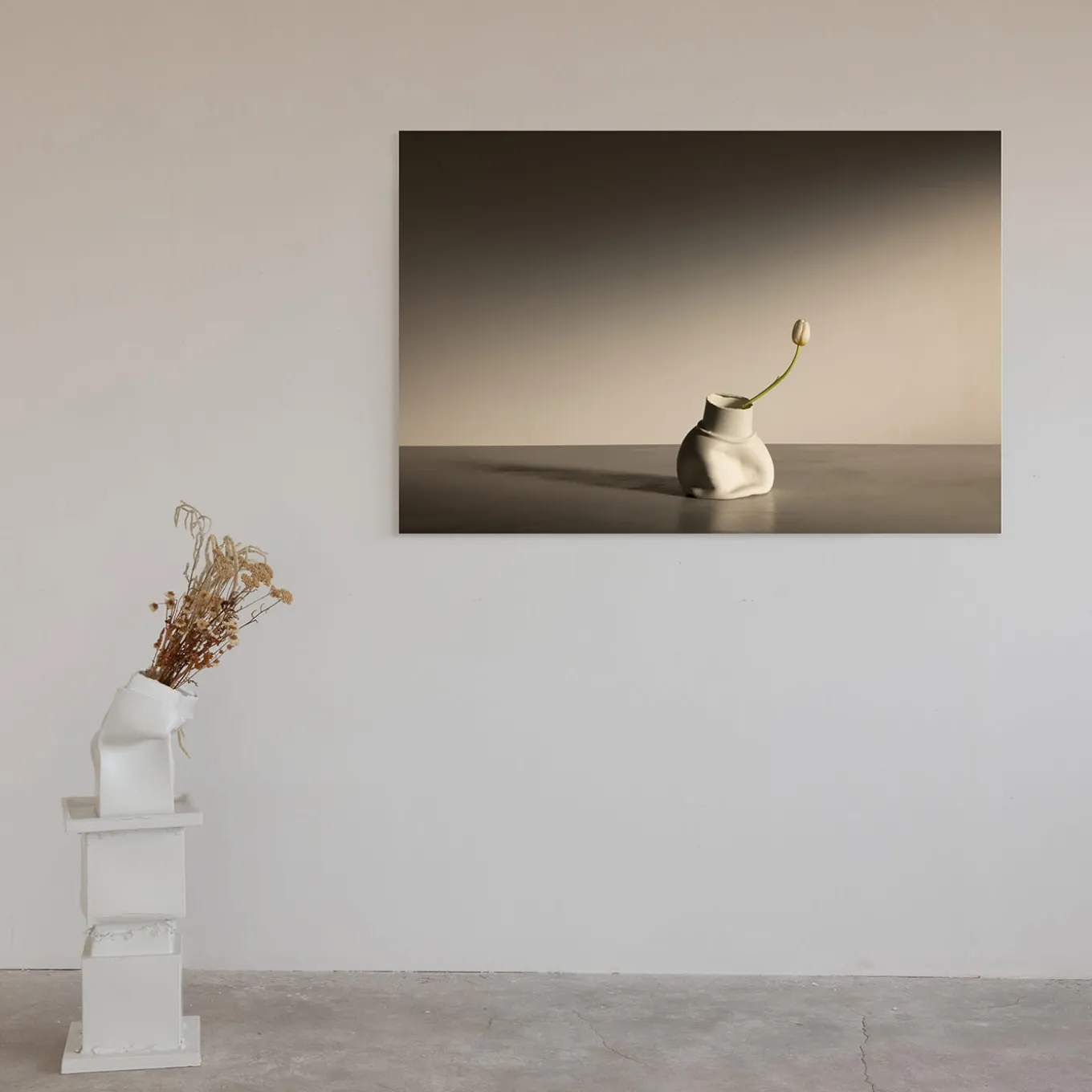 Tulips in Fara Limited Edition Photograph