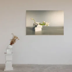 Tulips in Marostica Limited Edition Photograph