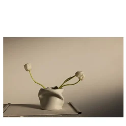 Tulips in Pove Limited Edition Photograph