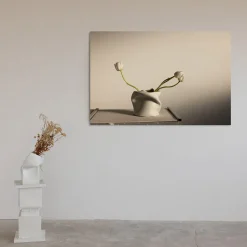 Tulips in Pove Limited Edition Photograph