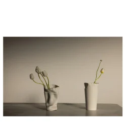 Tulips in Vicenza Limited Edition Photograph