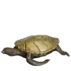 Turtle Brass Box