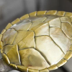Turtle Brass Box