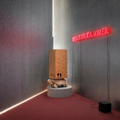 Turtle Limited Edition Case by Marcantonio