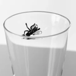 Vanitas Low Drinking Glass