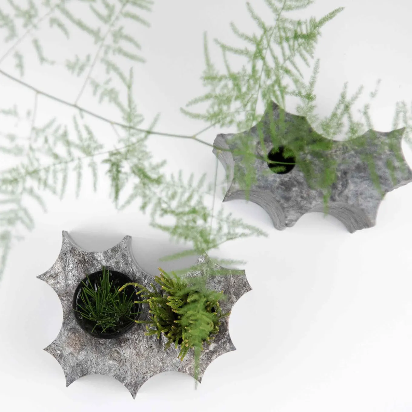 Variazioni Vaseholder Gray