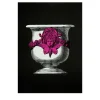 Vaso Magenta Print