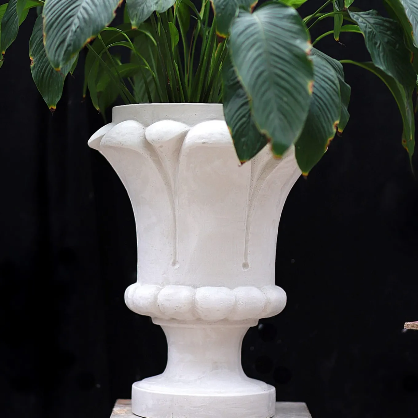 Vaso Sculpture