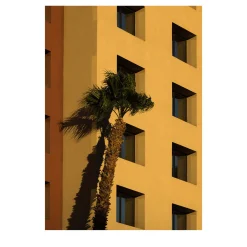 Vegas Breeze Photography